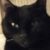 Profile picture of Hazel