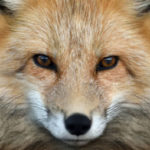 Profile picture of 3699