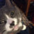 Profile picture of Jessie