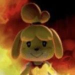 Profile picture of j. kim