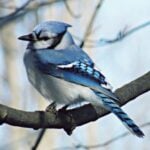 Profile picture of Judith Clark