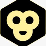Profile picture of Boring Monkee