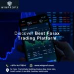 Profile picture of WinproFX Broker