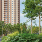 Profile picture of Community Connections: The Neighborhood Vibe Around Birla Evara Apartments