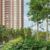 Profile picture of Community Connections: The Neighborhood Vibe Around Birla Evara Apartments