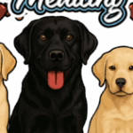 Profile picture of Kmtreats