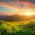 Profile picture of Newellness