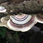 Profile picture of 0003