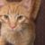 Profile picture of ZOE2