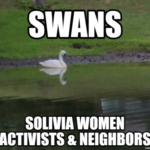 Profile picture of Solivita Women's Action Network
