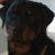 Profile picture of JSCL