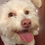 Profile picture of OGPG