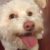 Profile picture of OGPG