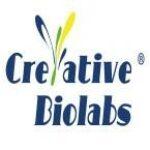 Group logo of isolate exosome