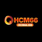 Group logo of HCM66
