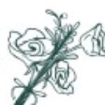 Group logo of Sincere FLowers USA