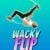 Group logo of wacky flip games io